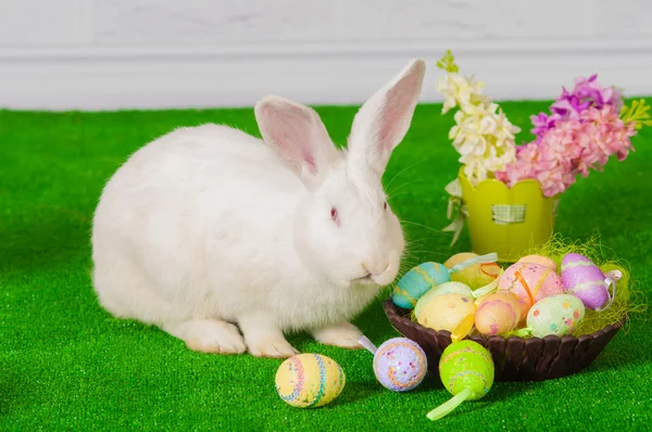 Conejo blanco en la hierba con flores y un baske — Foto de Stock