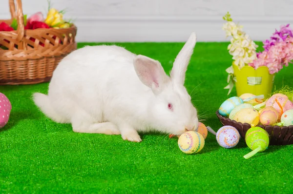 Coniglio bianco sull'erba con fiori e un baske — Foto Stock