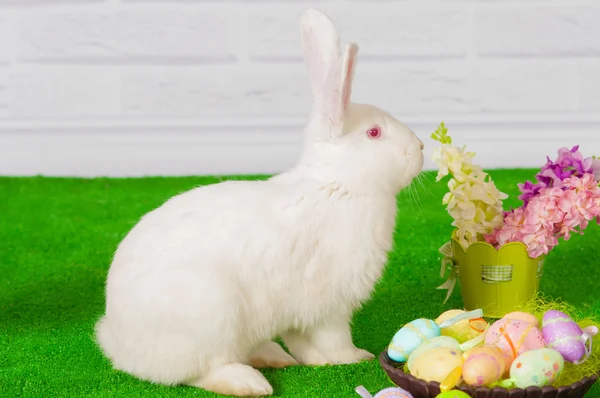 Conejo blanco en la hierba con flores y un baske — Foto de Stock