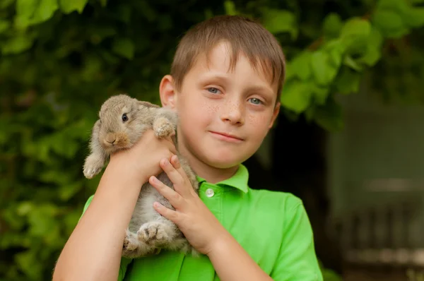 小男孩用一只手中的兔子 — 图库照片