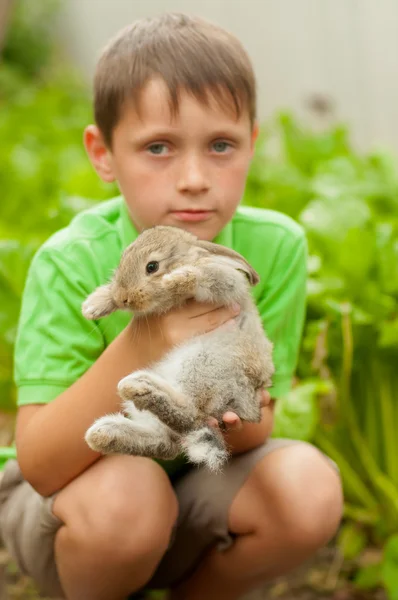 Der kleine Junge mit dem Hasen in der Hand — Stockfoto