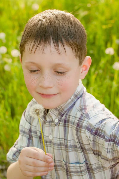 Boy on summer nature with dandelions — Stock Photo, Image