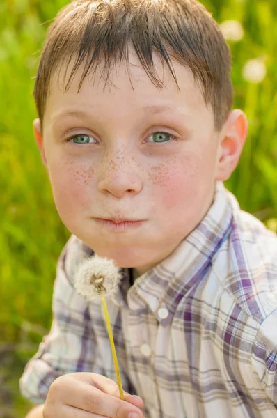 Niño en la naturaleza de verano con dientes de león —  Fotos de Stock