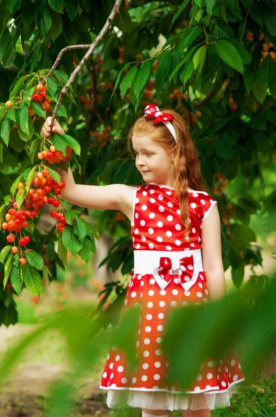 Girl in a  dress in cherry garden — Stock Photo, Image