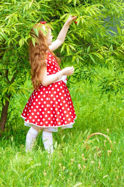 Girl in a  dress in cherry garden — Stock Photo, Image