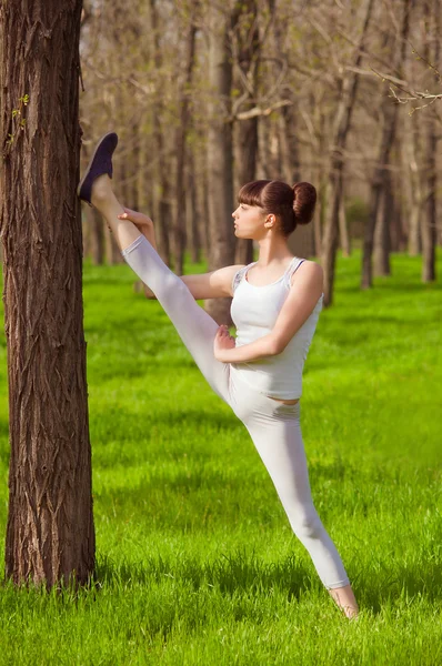 Jeune fille athlète faisant étirement dans un arbre sur l'herbe — Photo