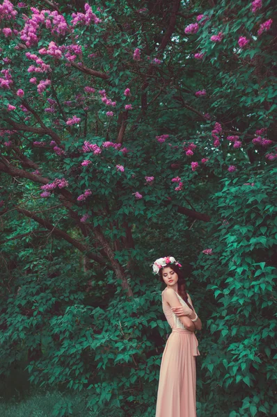 長いドレスとライラックのブッシュの花の花輪の美しい少女 — ストック写真