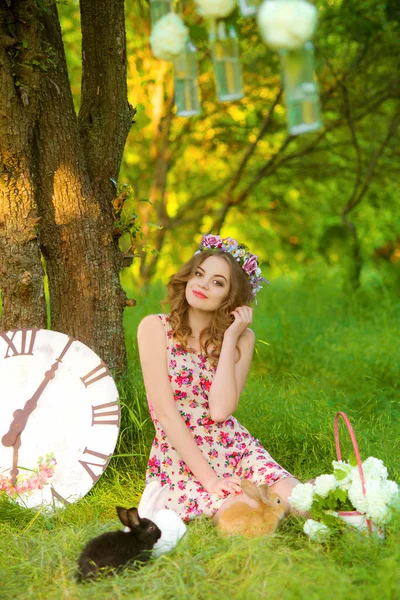 Young beautiful girl   with a rabbit — Stock Photo, Image