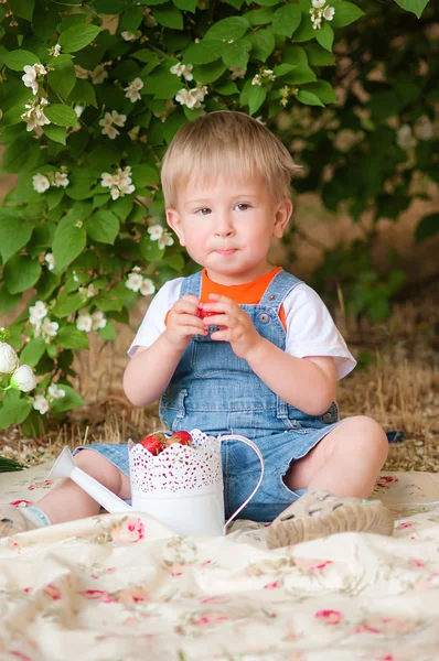 Little boy in the summer with strawberries — Zdjęcie stockowe