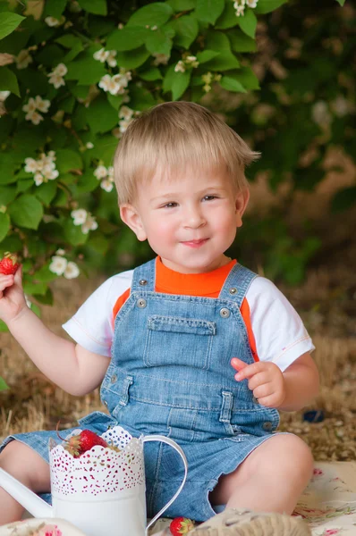 Little boy in the summer with strawberries — Zdjęcie stockowe