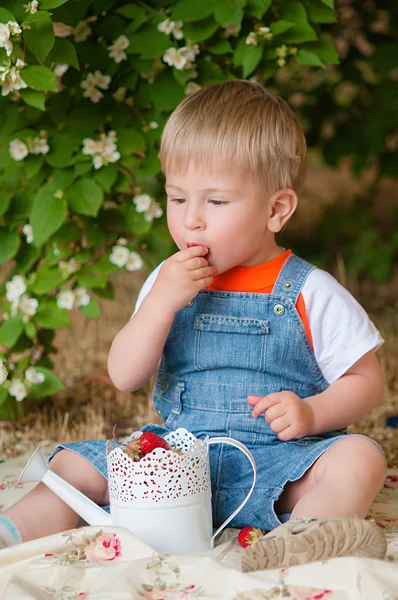 Niño en el verano con fresas — Foto de Stock