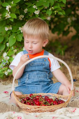Little boy with a cherry in his hand
