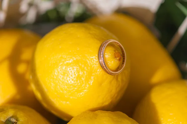 Anelli nuziali su un limone giallo — Foto Stock