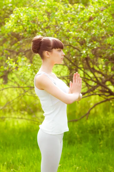 The girl is engaged in yoga — Stock Photo, Image