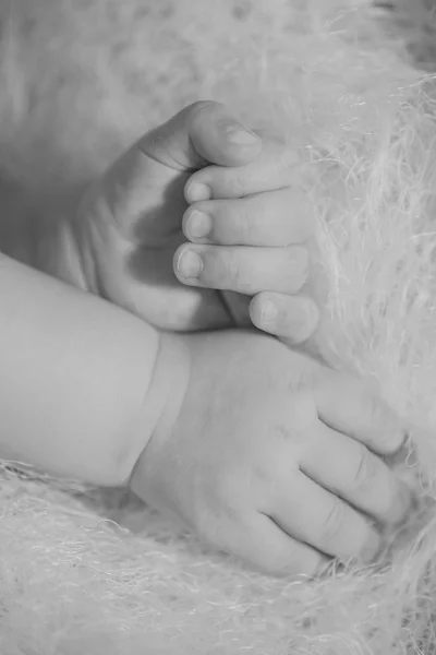 Hands of little baby in  basket — Stockfoto