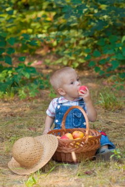 Bir sepet elma parkta olan küçük çocuk