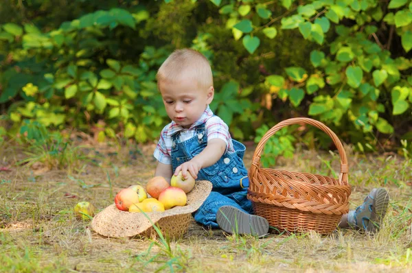 Little boy with a basket of apples in the  park — Stock Photo, Image