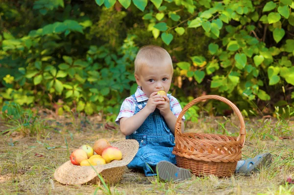 Little boy with a basket of apples in the  park — Stock Photo, Image