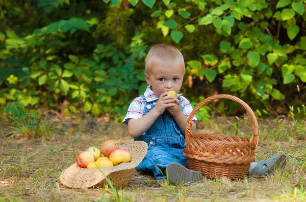 公園の中のりんごのバスケットと少年 — ストック写真