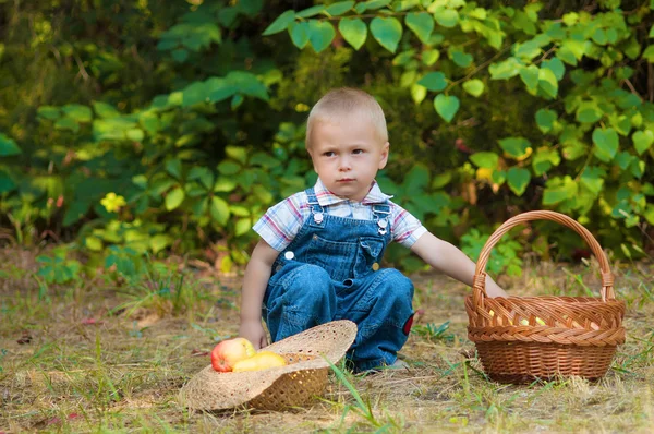 Liten pojke med en korg med äpplen i parken — Stockfoto