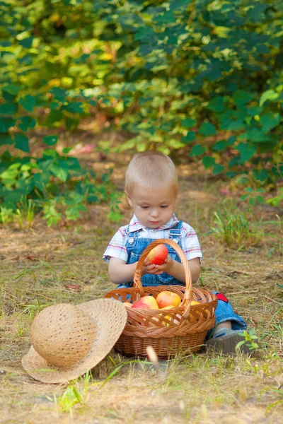 Niño pequeño con una cesta de manzanas en el parque —  Fotos de Stock