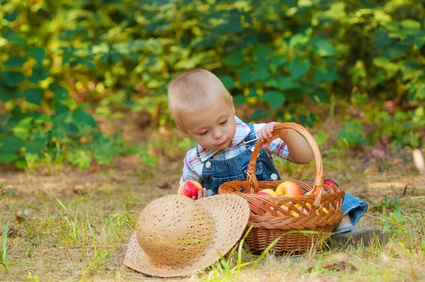 Little boy with a basket of apples in the  park — Stock Photo, Image