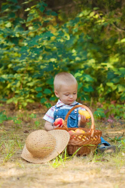 Little boy with a basket of apples in the  park — Stock Photo, Image