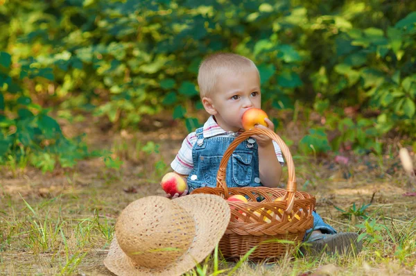 Niño pequeño con una cesta de manzanas en el parque — Foto de Stock