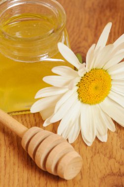 kavanoz bal ve bir kaşık bal