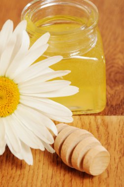 kavanoz bal ve bir kaşık bal