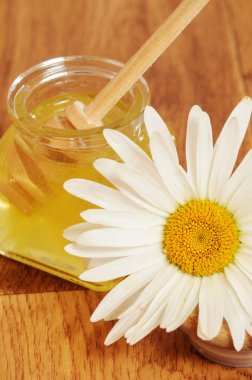 kavanoz bal ve bir kaşık bal