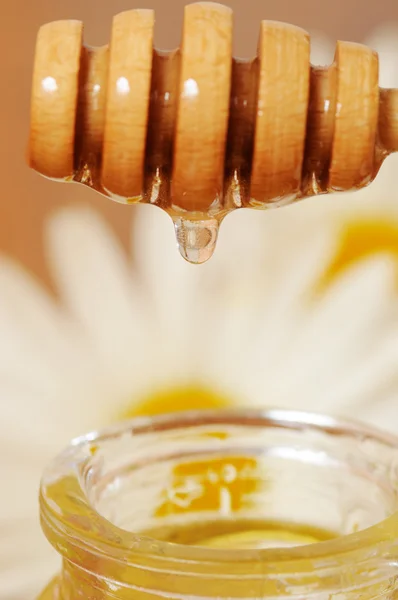 Burk honung och en sked honung — Stockfoto