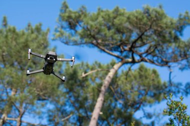 Sabahları açık mavi gökyüzüyle ormanda pilotsuz uçak kullanmak.