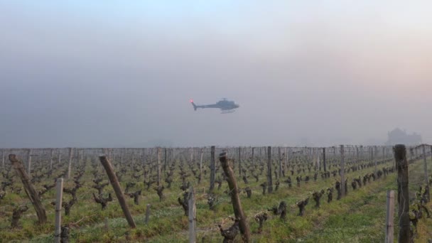 FRANCE, GIRONDE, SAINT-EMILION, HELICOPTER USED TO CIRCULATE WARMER AIR AND AVOID DAMAGE CAUSED BY FREEZING IN THE VINEYARD DURING TEMPERATURES BELOW ZERO ON APRIL 7, 2021 — стокове відео