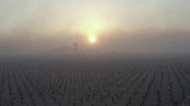 KADIN, POMEROL, HAVA TÜRKETLERİ VINEYARD 'DA HAVA KARIŞLARI BORDEAUX VINEYARD' IN SUB-ZERO TEMPERATÜRÜRLERİ