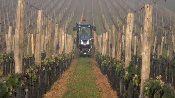 Gironde, Frankreich, Traktorarbeit, Pflügen im Weinberg von Bordeaux im Frühjahr — Stockvideo
