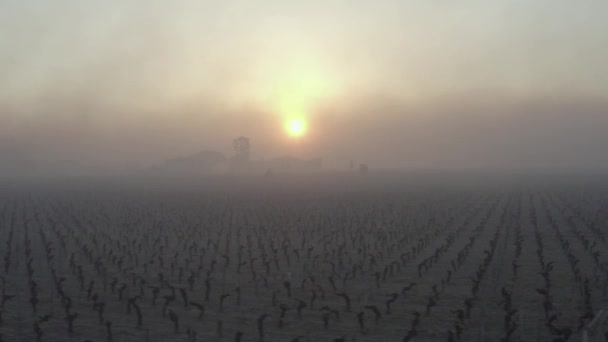 GIRONDE, POMEROL, WIND TURBINES AS AIR STIRRERS IN VINEYARD DURING SUB-ZERO TEMPERATURES OF MARS 2021, BORDEAUX VINEYARD — стокове відео