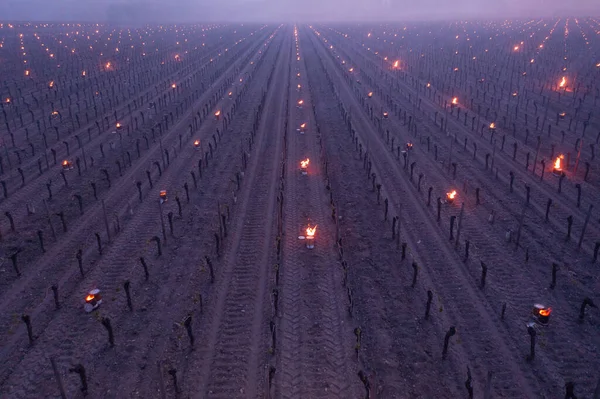 GIRONDE, POMEROL, HUILE BURNING SMUDGE POTS IN VINEYARD DURANT LES TEMPERATURES DE SUB-ZERO DU 7 MARS 2021, BORDEAUX VINEYARD Images De Stock Libres De Droits