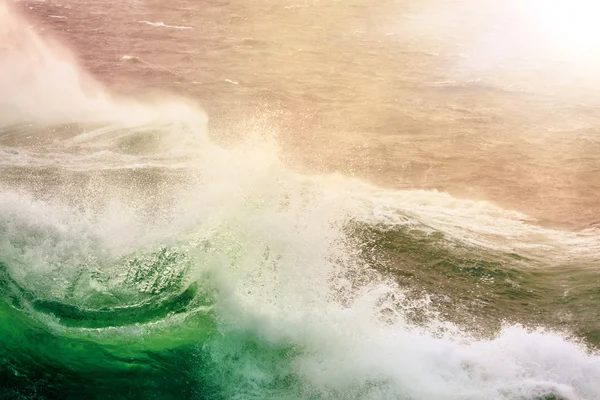 Süßwasser aus den Tropen — Stockfoto