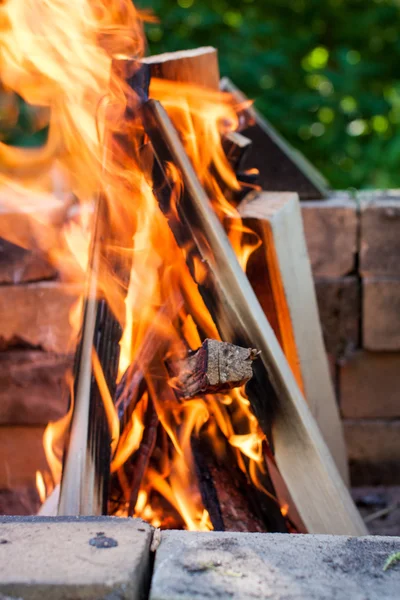 Brinnande skogen utomhus — Stockfoto