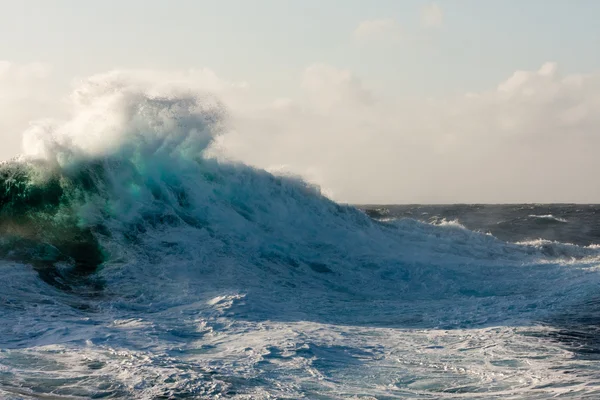 Eine riesige Welle — Stockfoto