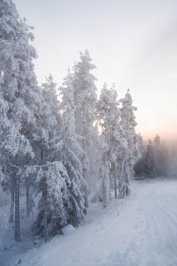 Batan güneşin kış akşamları