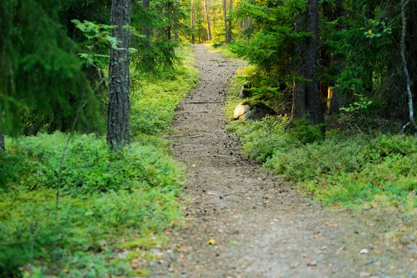 Güneş son ışınları