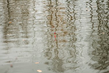 Balık oltası gölet yüzeyinde yüzer.