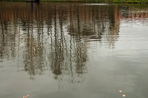 Grove Autumn Trees Reflected Pond — Stock Photo, Image