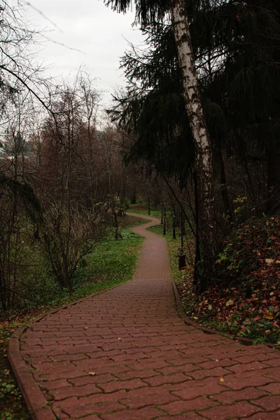 A path of red tiles framed by autumn trees with yellow foliage