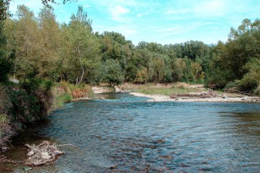 Nehir, ağaçlarla kaplanmış kıyılar arasında kıvrılır.