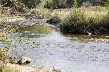 Nehir, ağaçlarla kaplanmış kıyılar arasında kıvrılır.