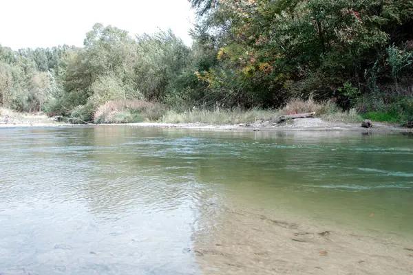 Sungai Berkelok Kelok Antara Tepian Ditumbuhi Pohon — Stok Foto