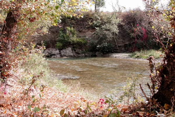 这条河在长满树木的河岸间蜿蜒曲折 — 图库照片